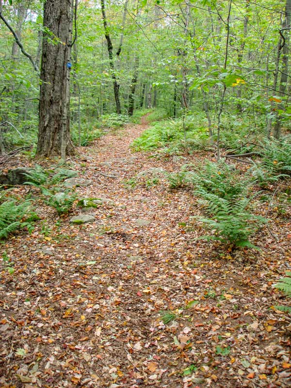 trail to Big Indian Mountain