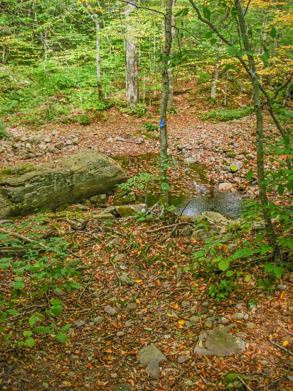 stream crossing to Big Indian Mountain