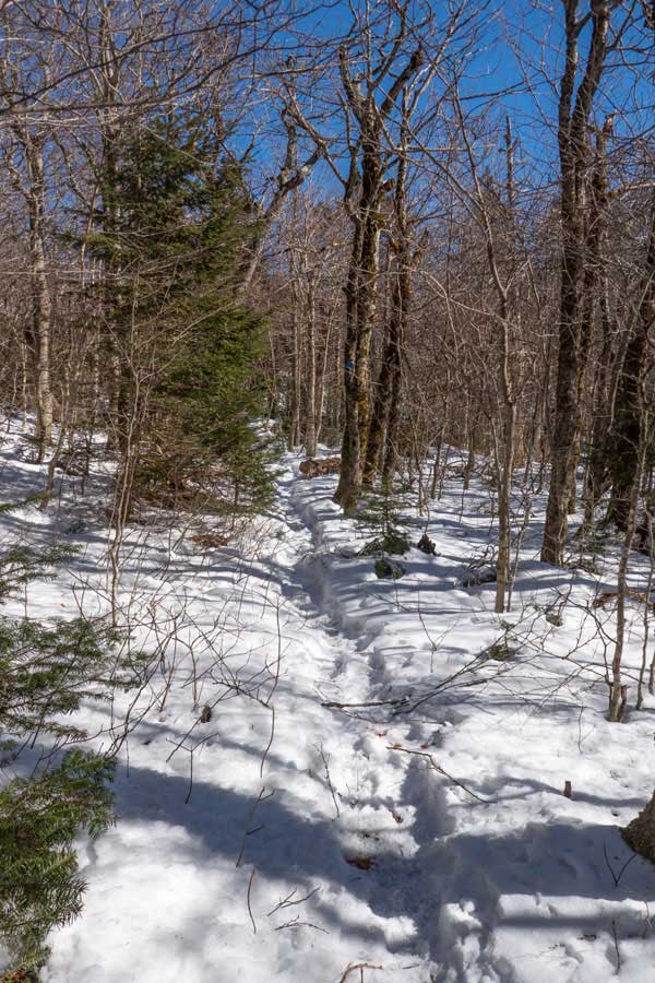 Pine Hill trail to Big Indian Mountain