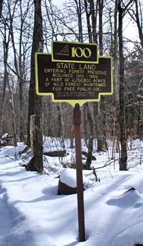 Fir Mountain