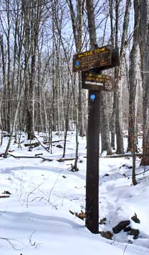 Fir Mountain