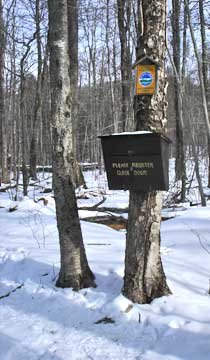 Fir Mountain