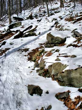 Fir Mountain