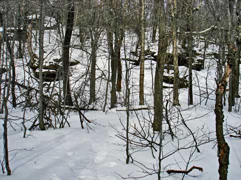Fir Mountain