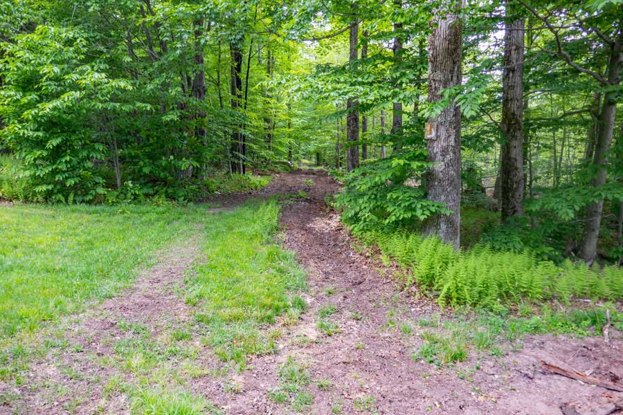 Neversink-Hardenburgh Trailhead