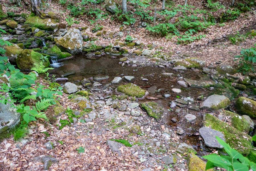 water crossing on the Neversink-Hardenburgh Trail
