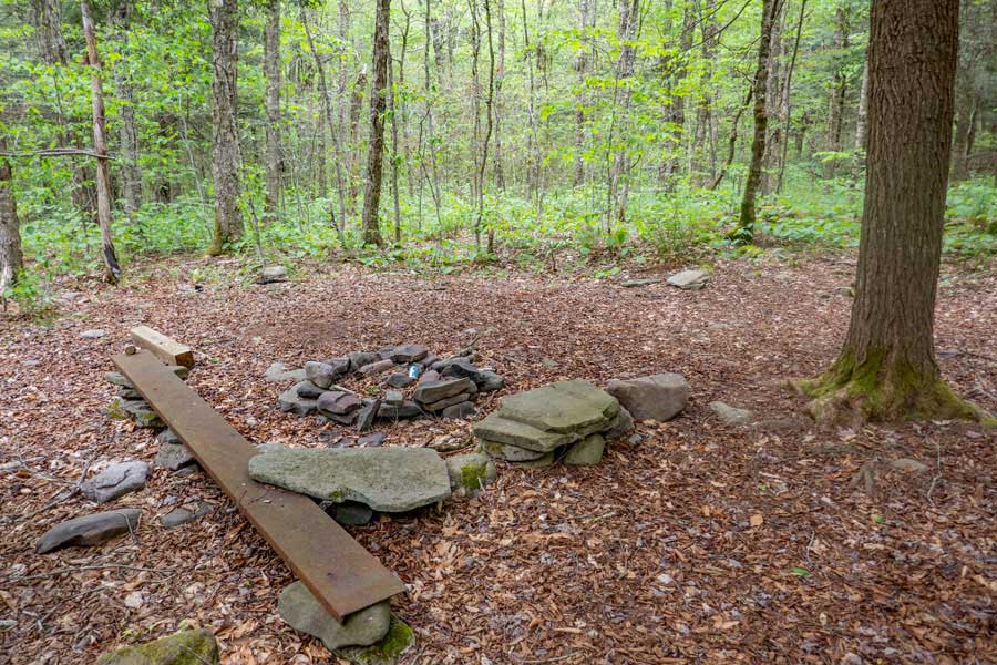 campsite #2 on the Neversink-Hardenburgh Trail