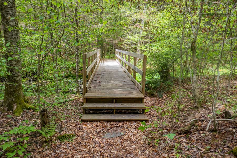 Bridge across the Gulf of Mexico Brook on the Neversink-Hardenburgh Trail