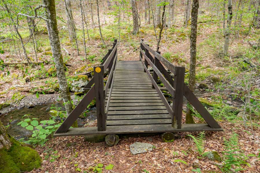 tricky part of the Neversink-Hardenburgh Trail between Balsam Lake Mountain Wild Forest and Big Indian Wilderness