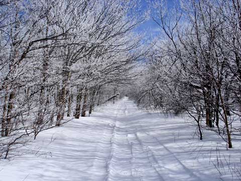 winter hiking guidelines