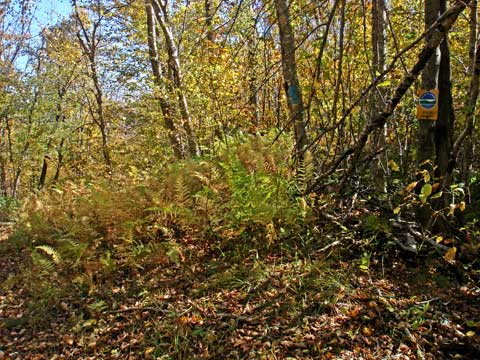  pass of vly mountain and bearpen mountain