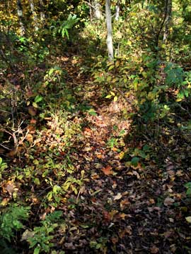 trail to vly mountain