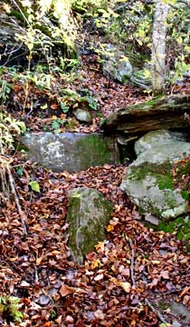 trail to vly mountain