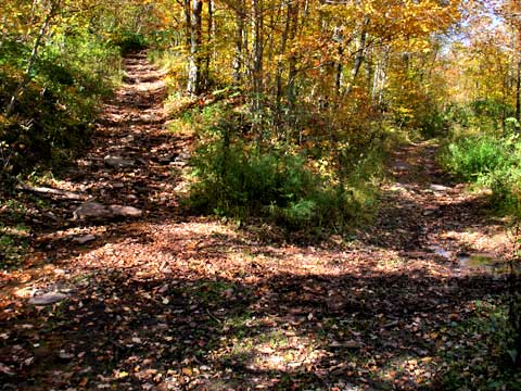 snowmobile trail that goes past the hunters cabinvly and bearpen mountain