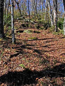 new snowmobile trail between vly and bearpen mountain