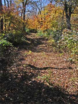 new snowmobile trail between vly and bearpen mountain