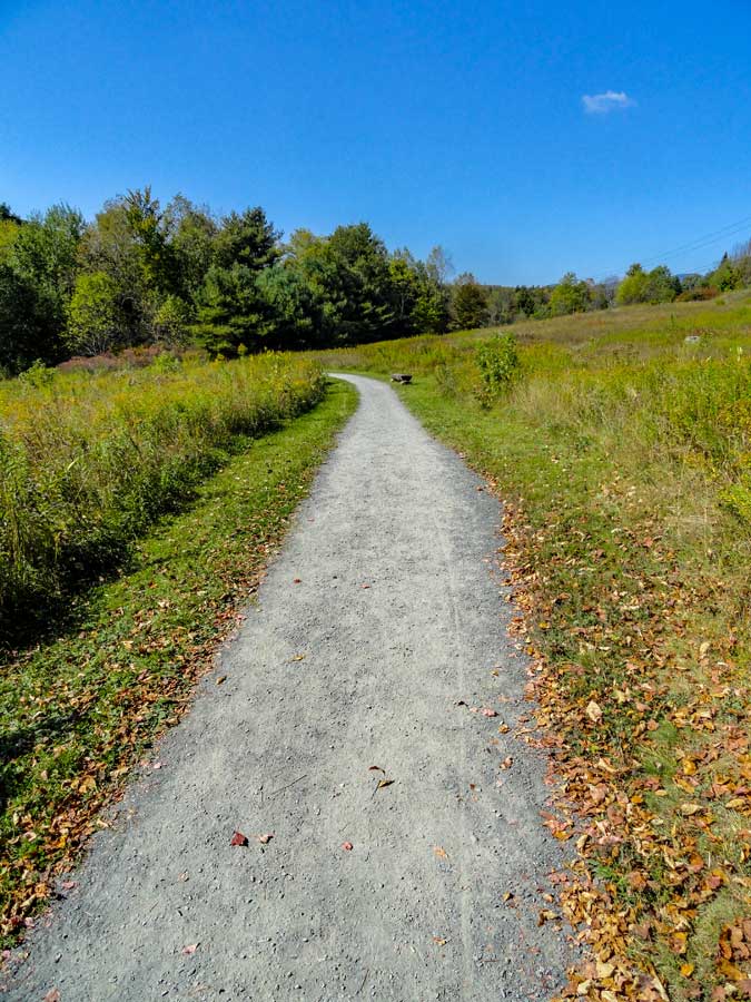 beginning of the The Windham Path Trail