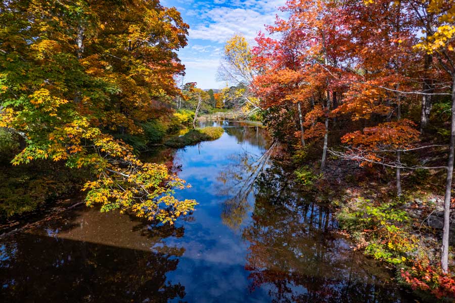 View from the Covered Bridge on the spur trail off The Windham Path Loop. .