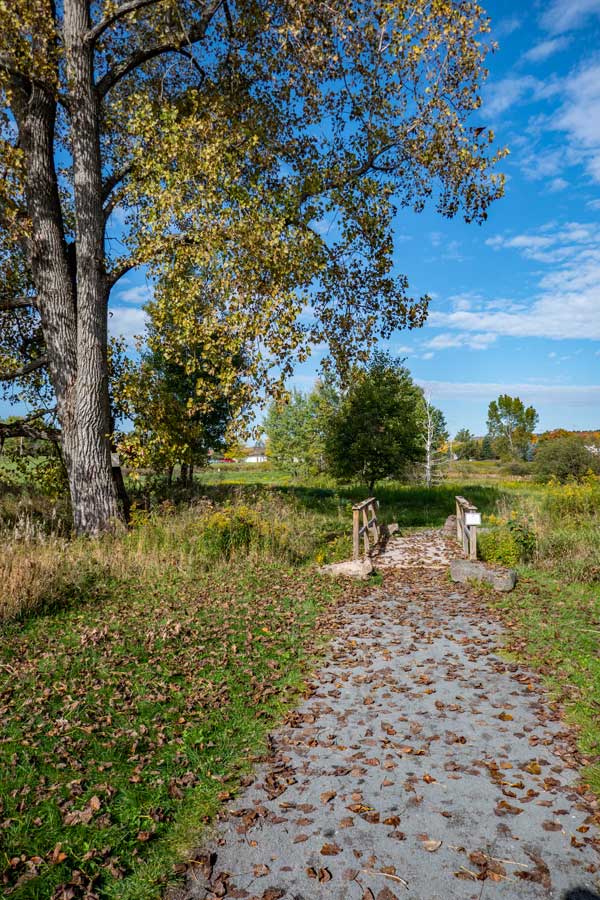 beginning of the The Windham Path Spur Trail