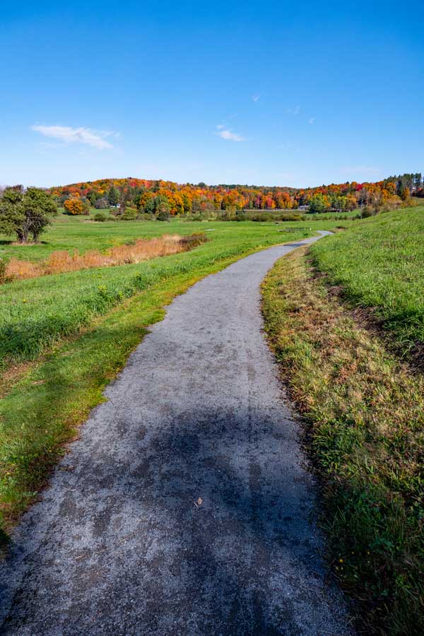 eastern side of The Windham Path that heads north