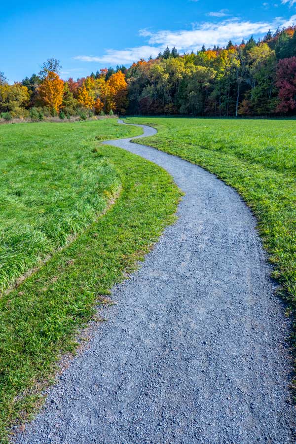 eastern side of The Windham Path that heads north