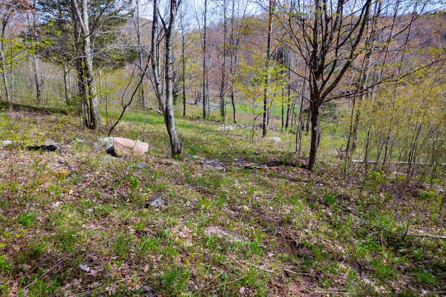 approaching grassland on the Vinegar Hill Trail