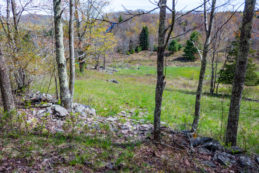 as you enter the grassland on the Vinegar Hill Trail, you want to turn left and follow the stone wall