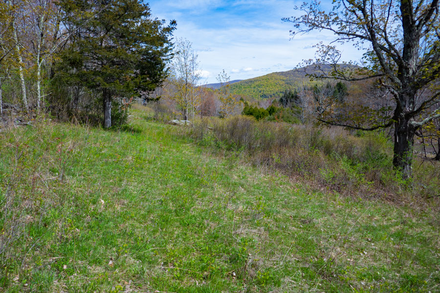 hiking along the forest and grassland edge on the Vinegar Hill Trail