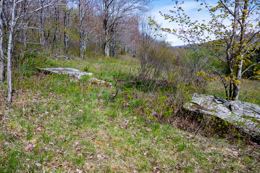 hiking along the forest and grassland edge on the Vinegar Hill Trail