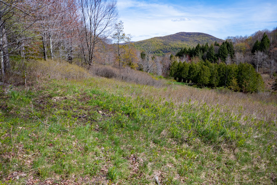 hiking along the forest and grassland edge on the Vinegar Hill Trail