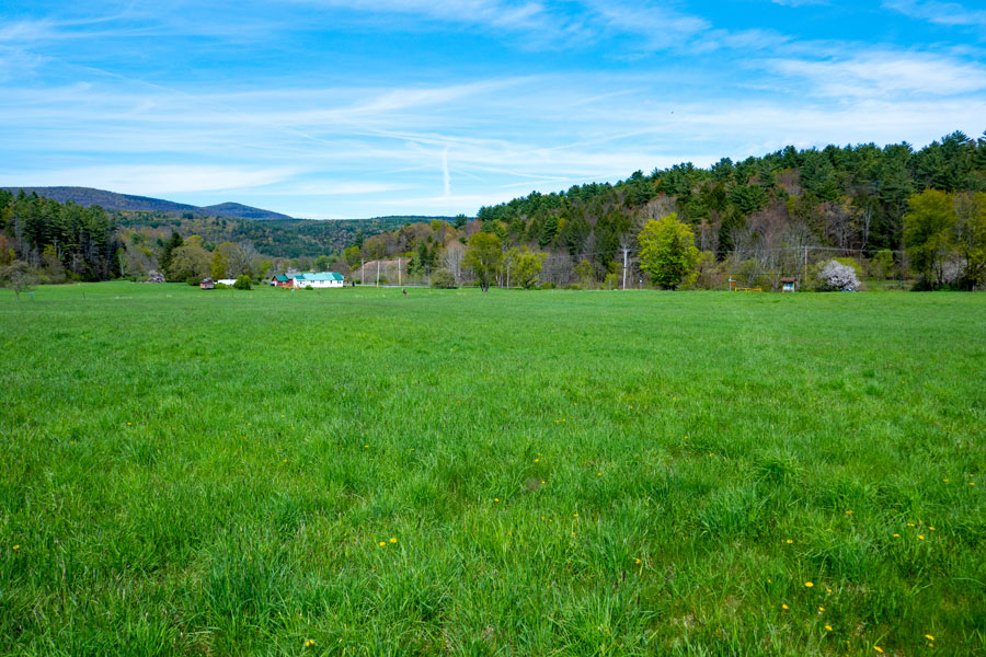 hiking across the grassy meadow to the lower Vinegar Hill Trail Head