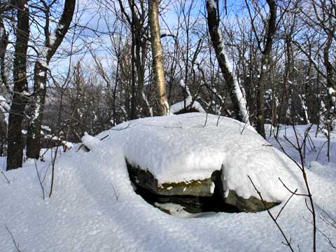 balsam mountain