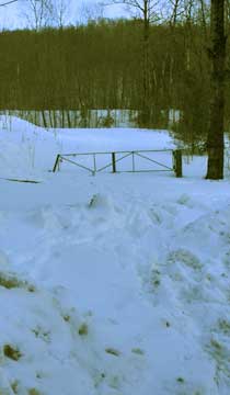 balsam mountain
