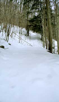 balsam mountain