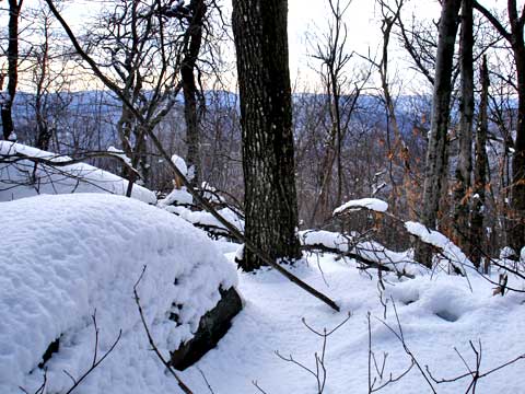 balsam mountain