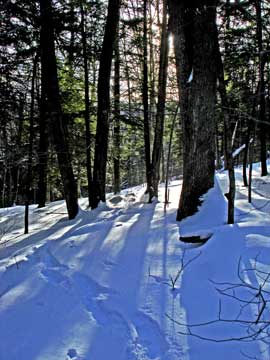 balsam mountain