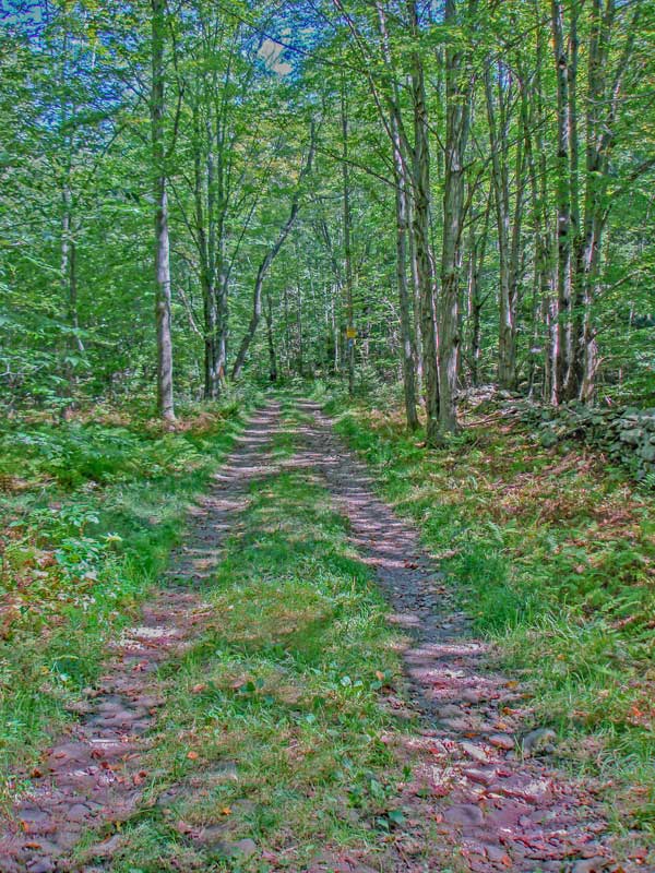 beginning of trail to Hunter Mountain