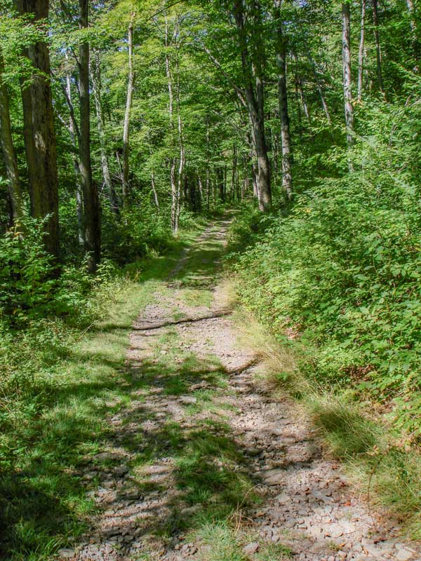 jeep road up the side of Rusk mountain