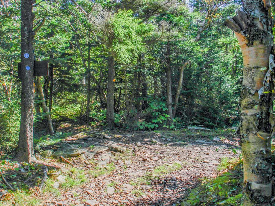 trail junction to hunter mountain ski bowl and Hunter Mountain fire tower