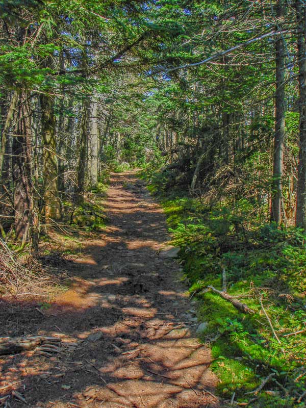 hiking the loop around the summit of Hunter Mountain