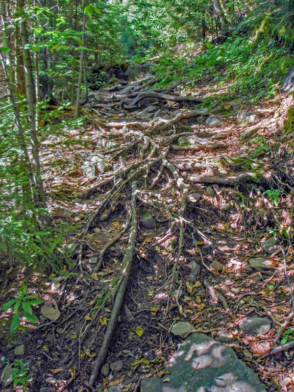 Hunter Mountain