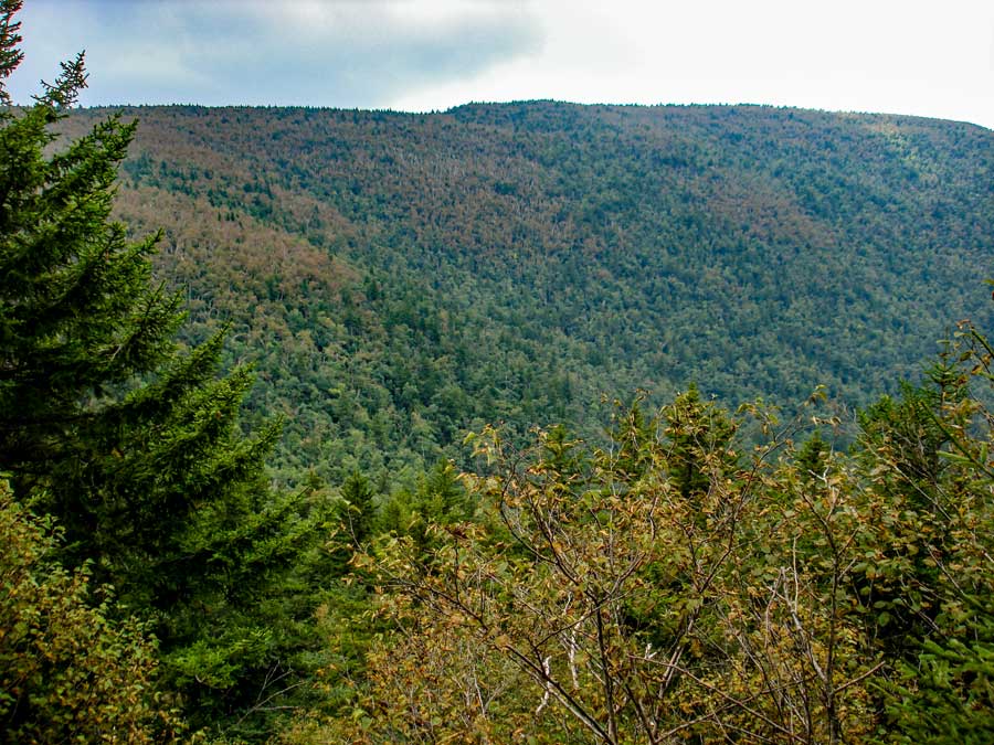 view from Geiger Point on the Hunter Mountain loop
