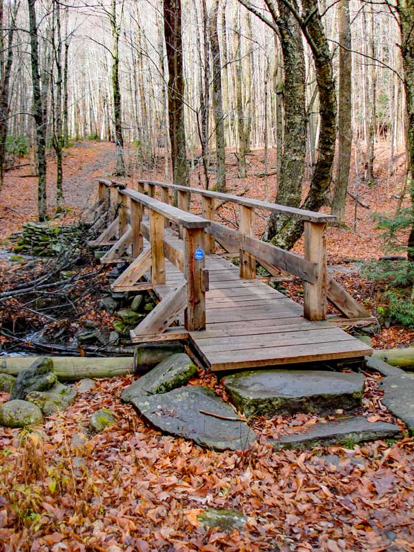 Bridge over small stream on the Becker Hollow Trail