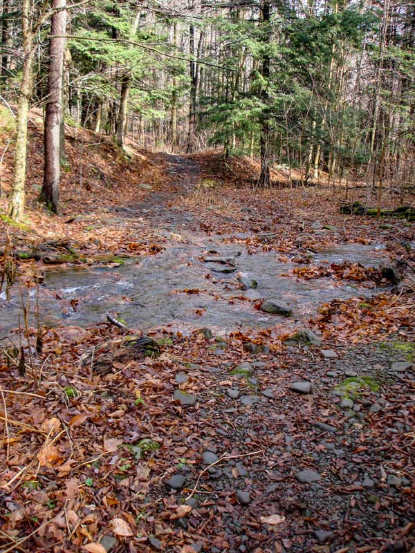 stream crossing that can be difficult on the Becker Hollow Trail