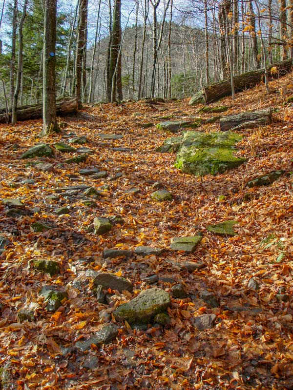 moderately steep section of the Becker Hollow Trail