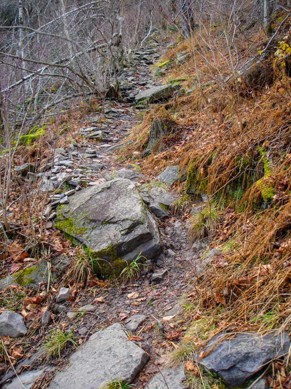steep section on the Becker Hollow Trail before the spur trail to Hunter Mountain