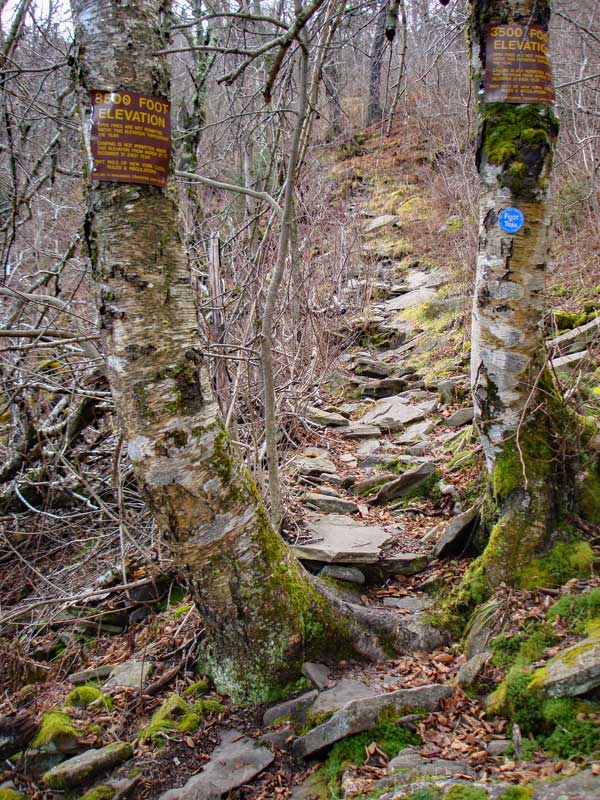 DEC 3500 elevation sign on the Becker Hollow Trail to the summit of Hunter Mountain