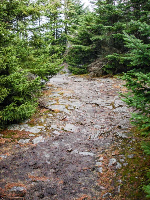 Becker Hollow Trail near the Spruceton Trail