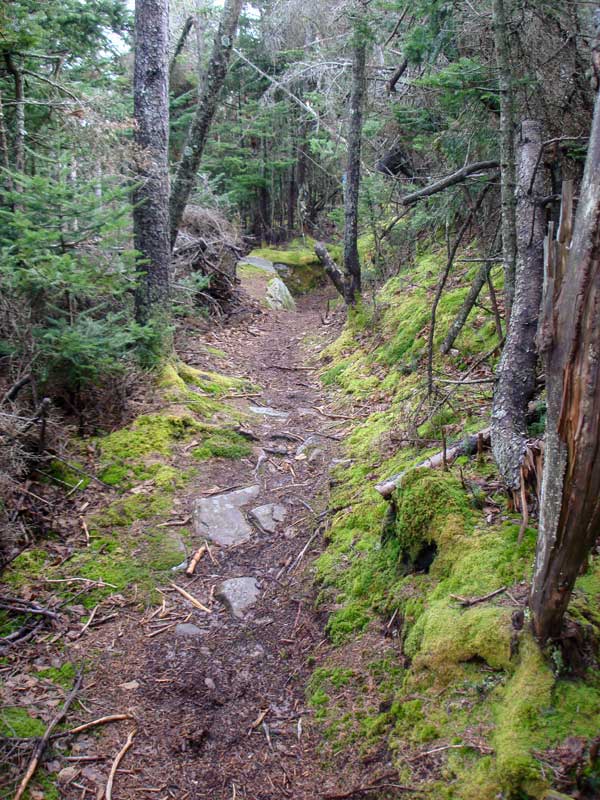Becker Hollow Trail down near the Spur Trail