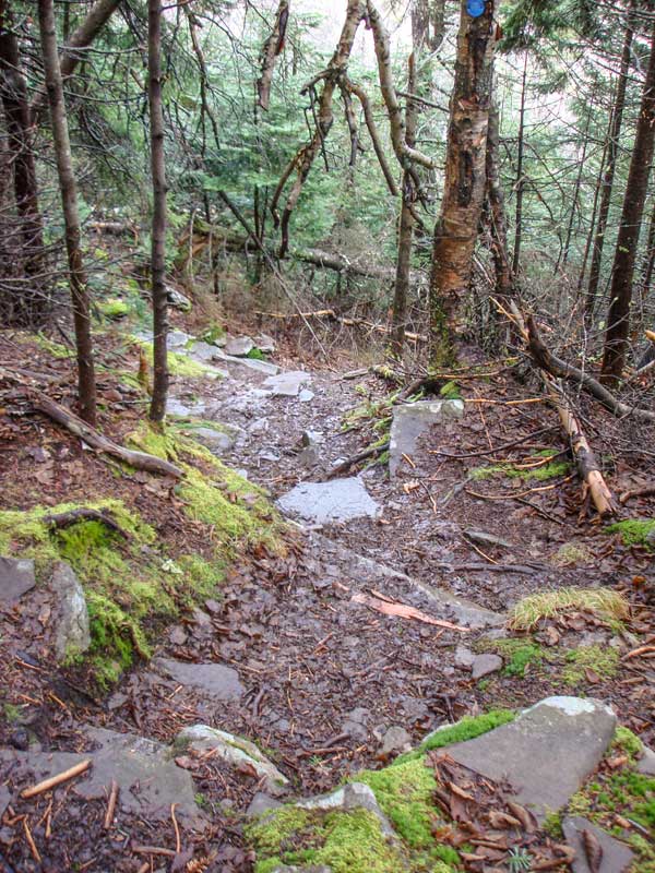 Becker Hollow Trail between the Spruceton Trail and the Spur Trail